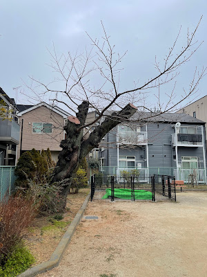 키타노 공원 사진 3