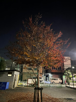 미나미아야세츄오우 공원 사진 4
