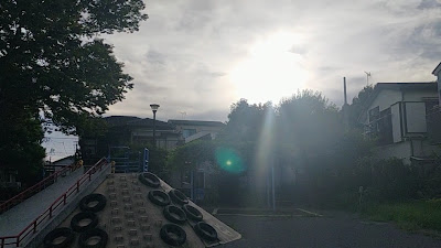 모미지 공원 사진 2