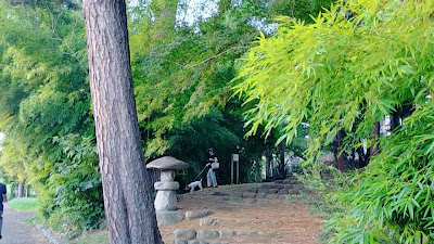 아카마츠 녹지 공원 사진 2