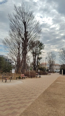 Doshida Keyaki Park 사진 2