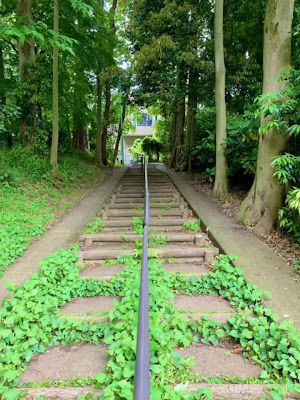 稲荷山憩いの森 사진 2