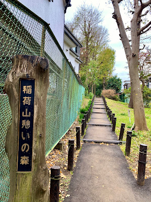 稲荷山憩いの森 사진 4