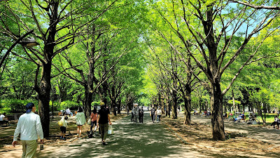 히카리가오카공원 사진 3