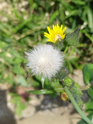 키타마치1쵸메 공원 사진 4