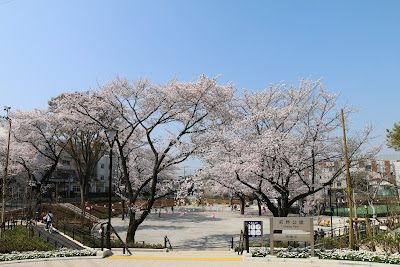 마에노 공원 사진 3