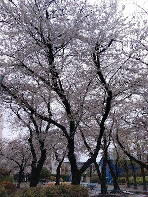 미야모토 공원 사진 3
