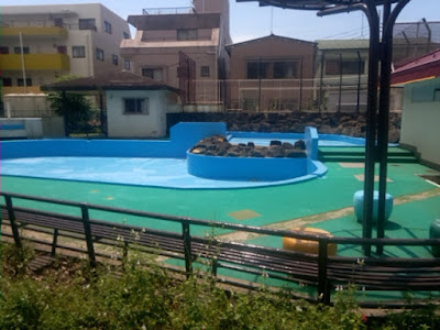 오하루 공원 사진 5
