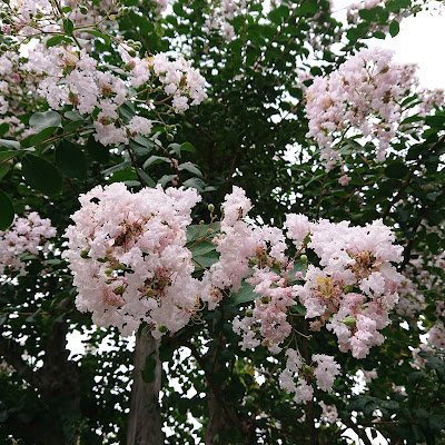 오오하라 다이니 공원 사진 3