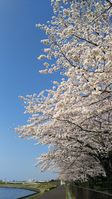 미야기유우유우 공원 사진 3