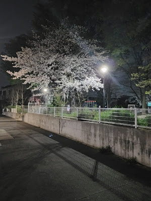 오기히가시 공원 사진 5