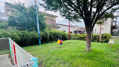 오키노 공원 사진 4