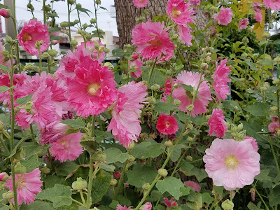 오키노 공원 사진 5