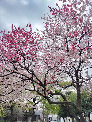 키타산야 공원 사진 3