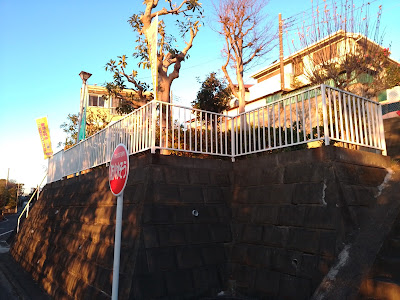 Akiyama Park 사진 2