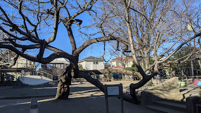 오오이즈미가쿠엔 공원 사진 3