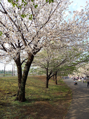 Saitama Kenei Wakojurin Park 사진 3