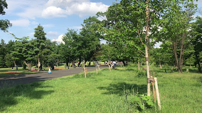 Saitama Kenei Wakojurin Park 사진 2