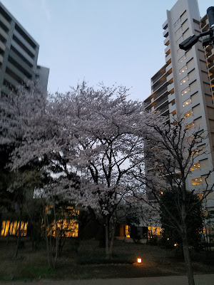 난고시노우에 아동공원 사진 3