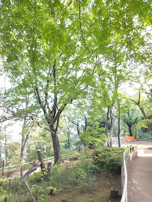 이타바시 구립 히구레다이 공원 사진 4