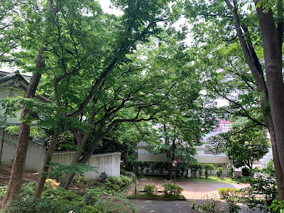 시무라 다이산 공원 사진 5