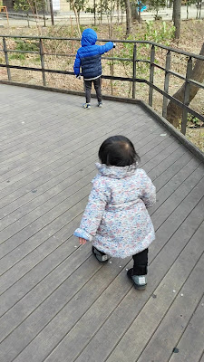아카바네 자연관찰공원 사진 2