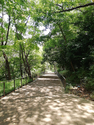 아카바네 자연관찰공원 사진 4