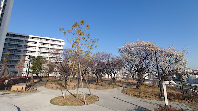우메 공원 사진 3