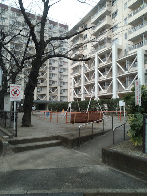 공원 사진 5