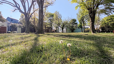 아즈마츠바키 공원 사진 5