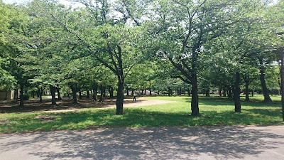 히가시아야세 공원 사진 5