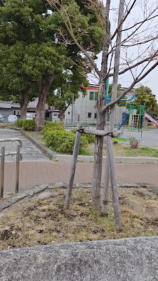 Higashimizumoto Park 사진 2