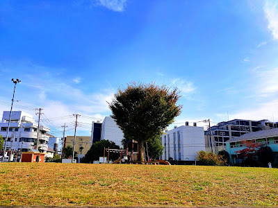 Midorino Park 사진 4