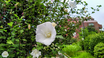 이시나리 공원 사진 4