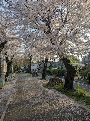 미야마에 공원 사진 4