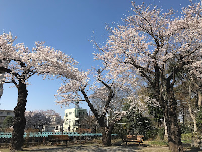 키리가오카아카바네 아파트 병설공원 사진 3