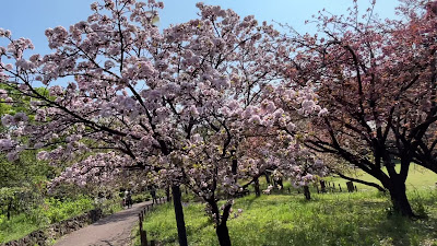 아다치 구 도시농업 공원 사진 2