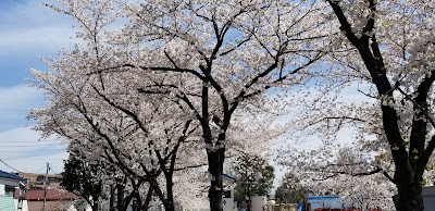 오시베미나미 공원 사진 4