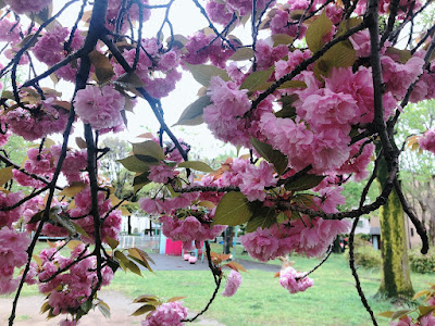 Kuriharacho Park 사진 4