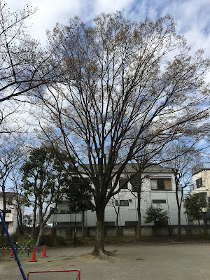쿠리하라키타 공원 사진 2