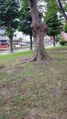 타케노츠카 다이큐 공원 사진 2