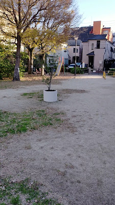 오키타니 공원 사진 2