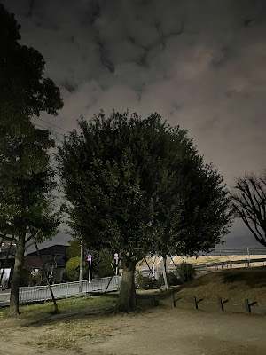 Nakagawa Disaster Park 사진 3