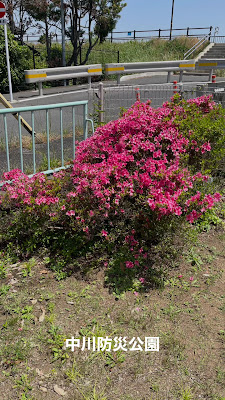 Nakagawa Disaster Park 사진 2