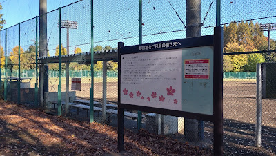 Ukima Park Rubber Baseball Field 사진 3