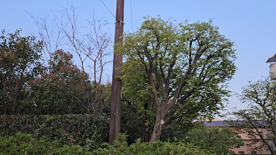 하야부사 공원 사진 2