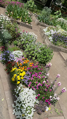 Hokima Park 사진 2
