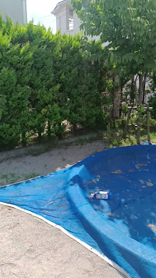 기라메키공원 사진 2