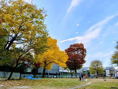 Miyamachi Park 사진 4
