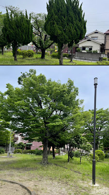 세자키닛타 공원 사진 2